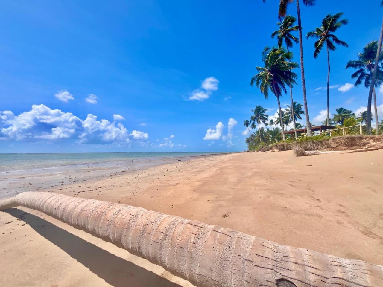 Pousada Sunshine Patacho Rota Ecologica Dos Milagres Porto de Pedras Ngoại thất bức ảnh